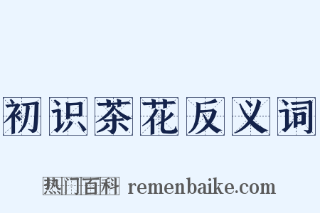 初识茶花反义词是什么意思的图片